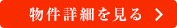 詳細を見る